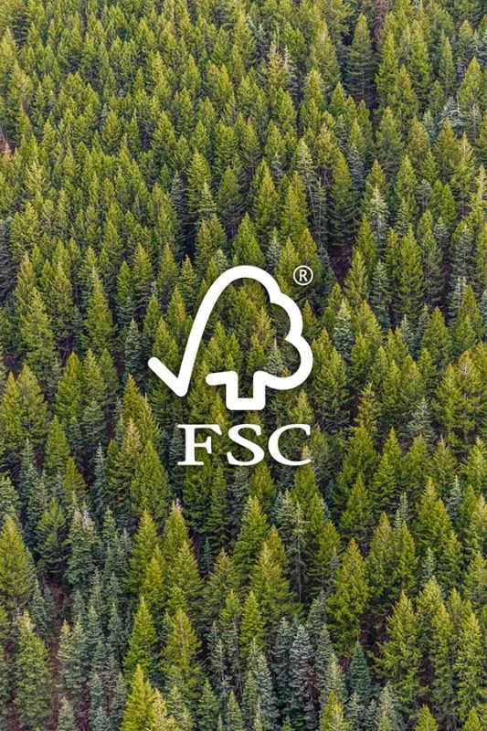 Certificazione FSC® nella stampa: documento e richiesta corretta